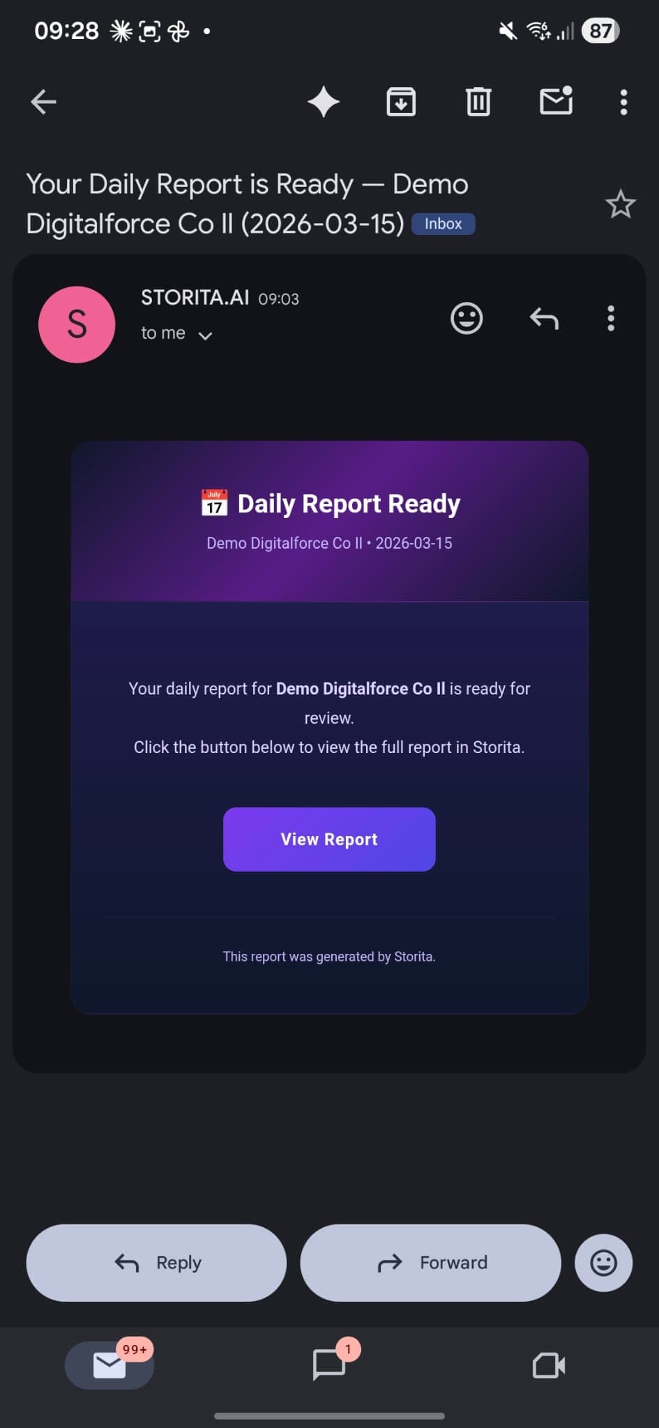 Storita daily revenue brief email example